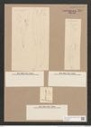 Pleurosigma obscurum W.Sm. (de-Toni-Nr.: Genus 13, Species 1043) Zeichnungen Sammlung Grunow Nr. 1876 (NHMW-BOT-W0368982)